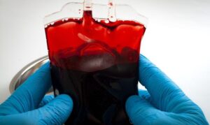 Krew i jej funkcje (Kapsułki Blood Cleanse / Chin Sue – oczyszczanie krwi).