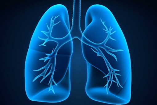 Choroby układu oddechowego (Herbata „CHIN-FEI” – oczyszczająca płuca).